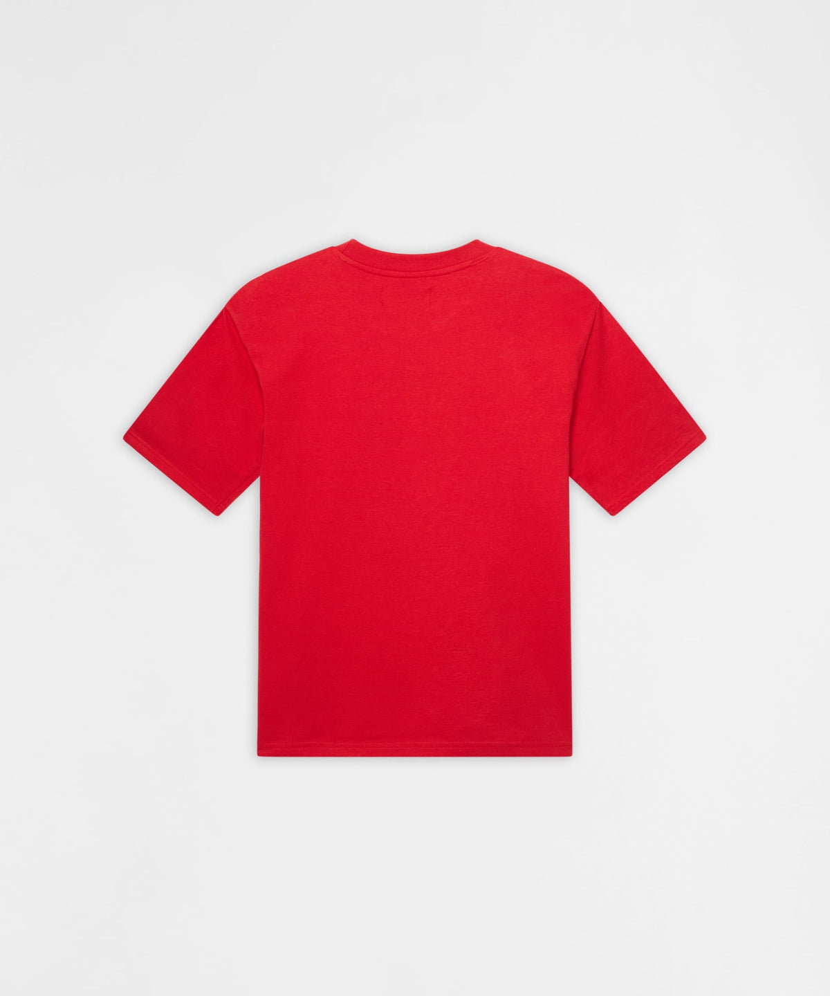 Reason Clothing Best Price Pablo Mugshot Heavy Terry Short Sleeve Tee - Red