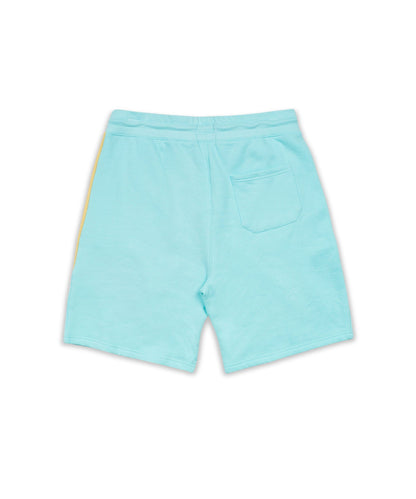 Reason Clothing Customer Favorite Felix Pastel Shorts